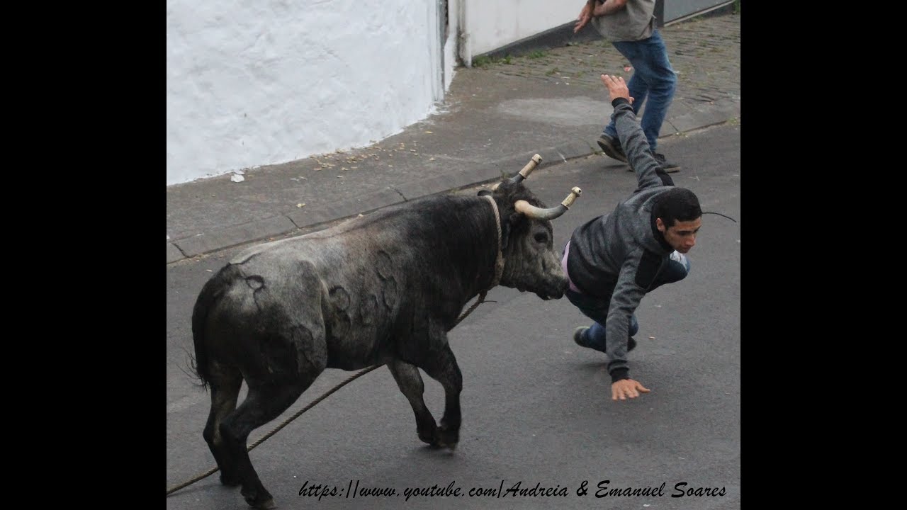 Porto Judeu  -  Ganadaria HF & ER