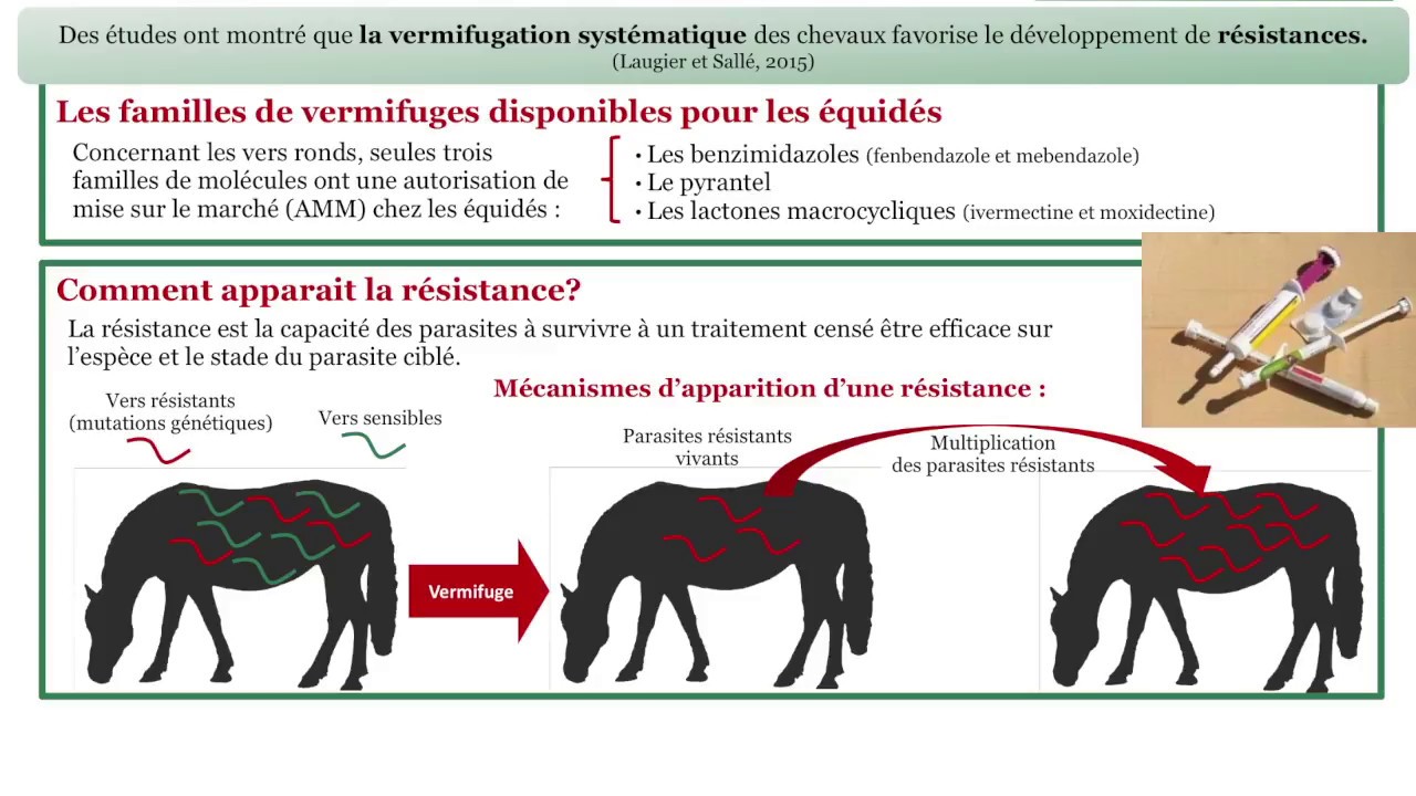 Résistance aux vermifuges chez le cheval
