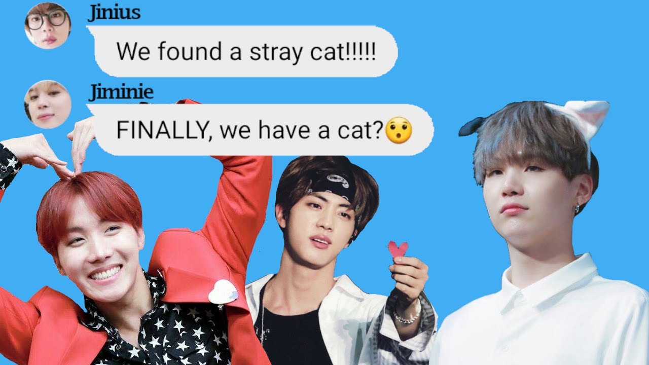 BTS Texts - Jin and Hobi adopt a cat