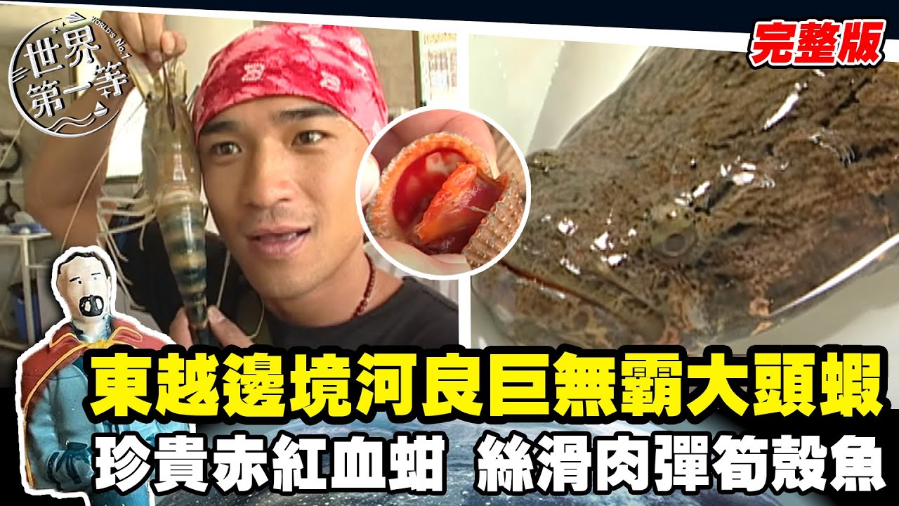 【柬埔寨】尋當地頂級三鮮 巨無霸大頭蝦 珍貴血蚶 鮮美綿肉筍殼魚｜《世界第一等》20集完整版