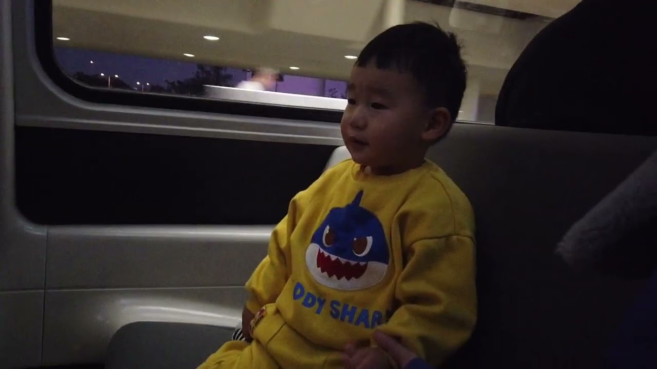 Disney World 2025 with a Toddler (28 months) - Day 4 EPCOT Sunset Shuttle Train Ride