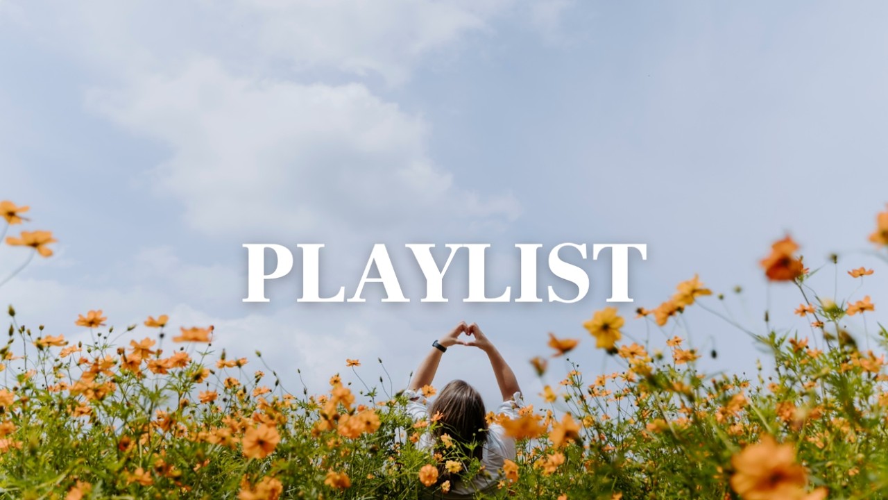 playlist 애쓴 당신에게 건네는 노란 꽃 한 송이  다정한 위로가 되는 감성 포크ㅣWarm Gratitude
