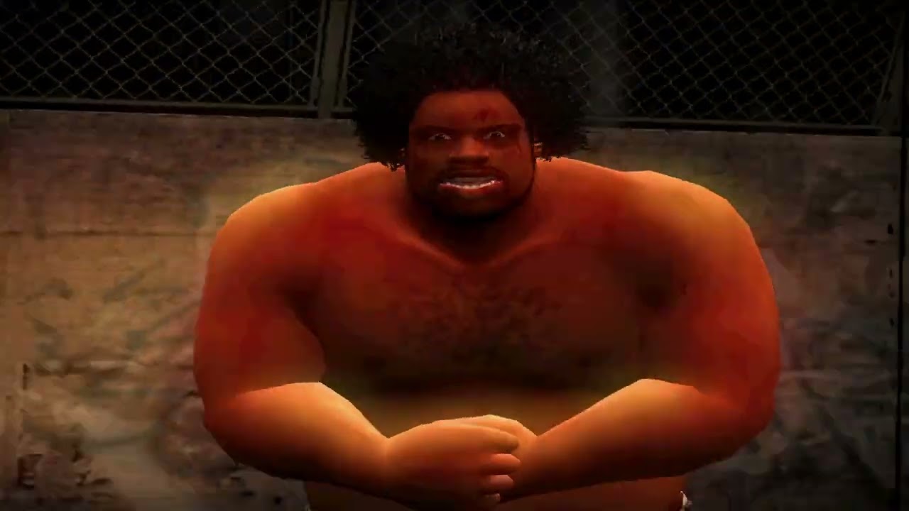 Def Jam Fight For NY Random Match #4