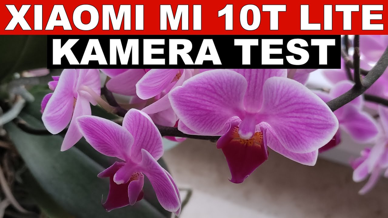 Xiaomi Mi 10T Lite Kamera Test