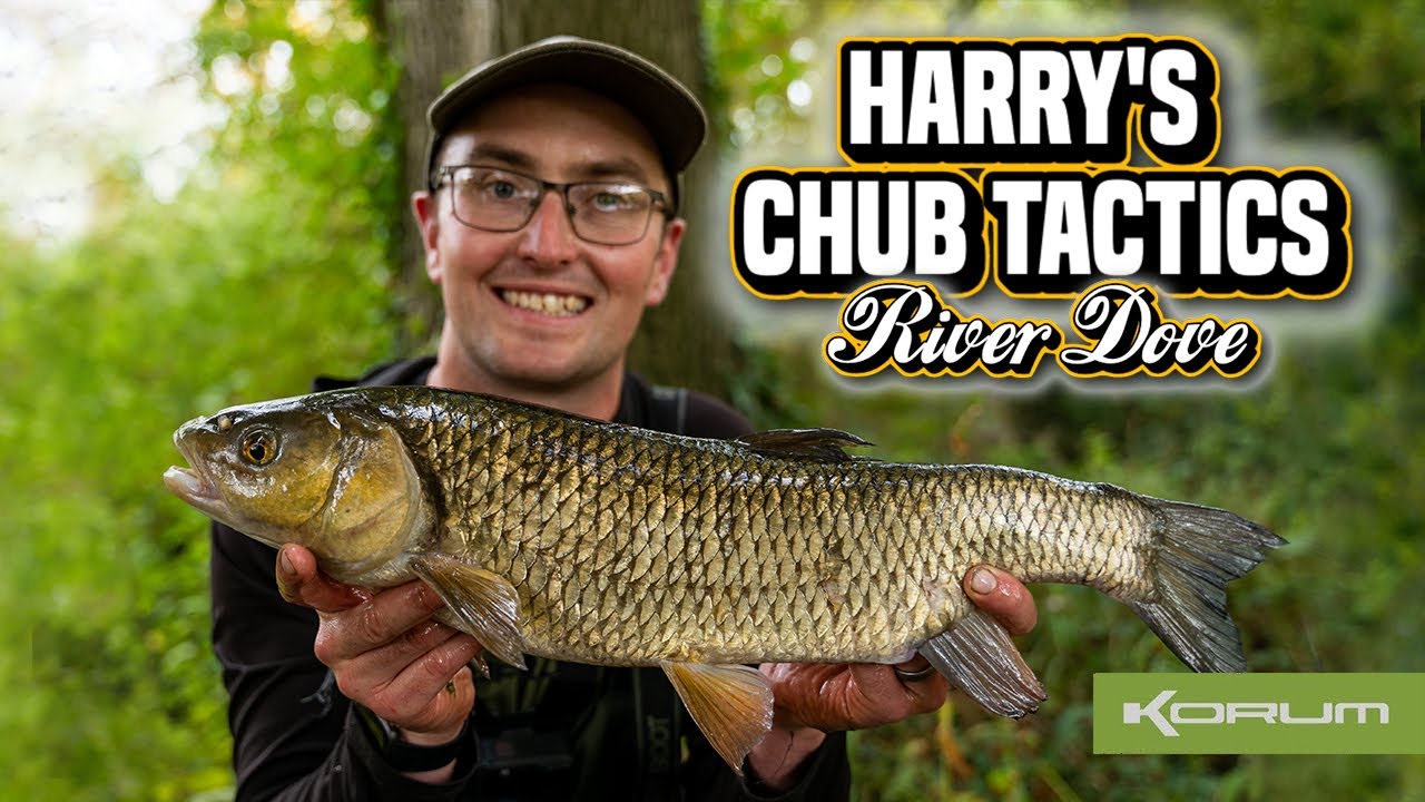 Harry's Chub Tactics - River Dove