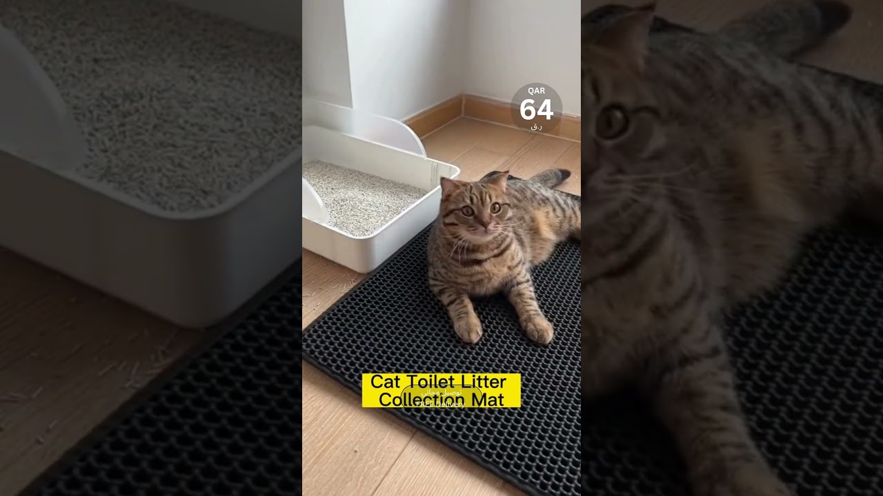 Dual layer Litter Mat  