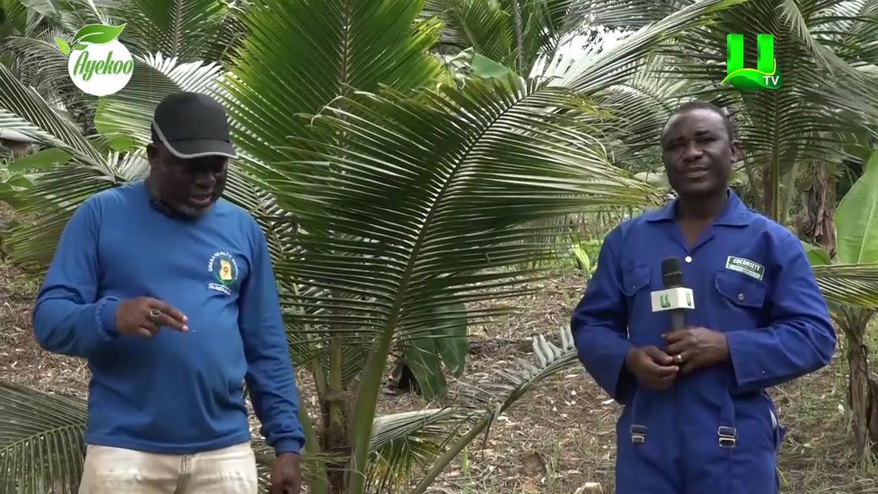 AYEKOO: AGRICULTURE IS THE FUTURE OF GHANA - FORMER DIRECTOR OF PORT HEALTH