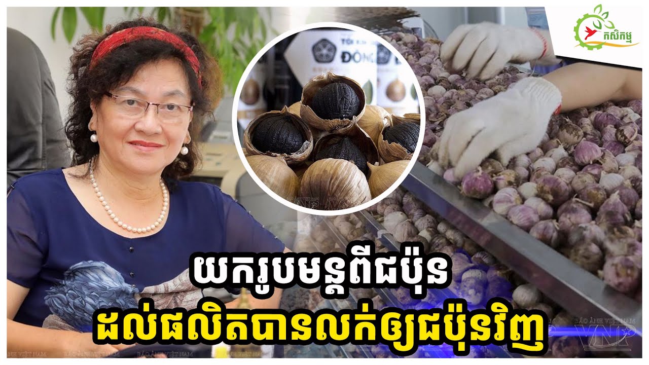 សុំរូបមន្ដធ្វើខ្ទឹមខ្មៅពីជប៉ុន ស្រ្ដីវៀតណាមម្នាក់ក្លាយជាម្ចាស់សហគ្រាសកែច្នៃខ្ទឹមខ្មៅ600តោន/ឆ្នាំ