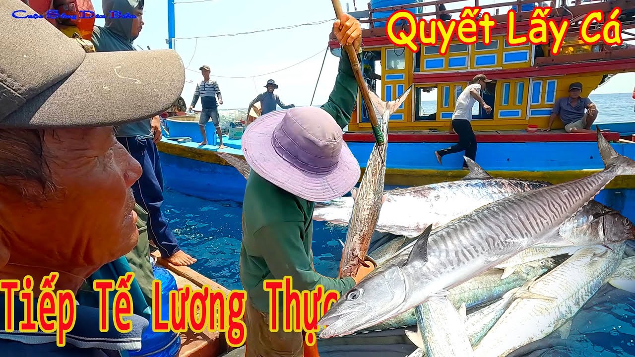 CÂU TAY 23║Tiếp Tế Lương Thực Để Tiếp Tục Xuyên Biển,Quyết Đem Tiền Về Cho Vợ.
