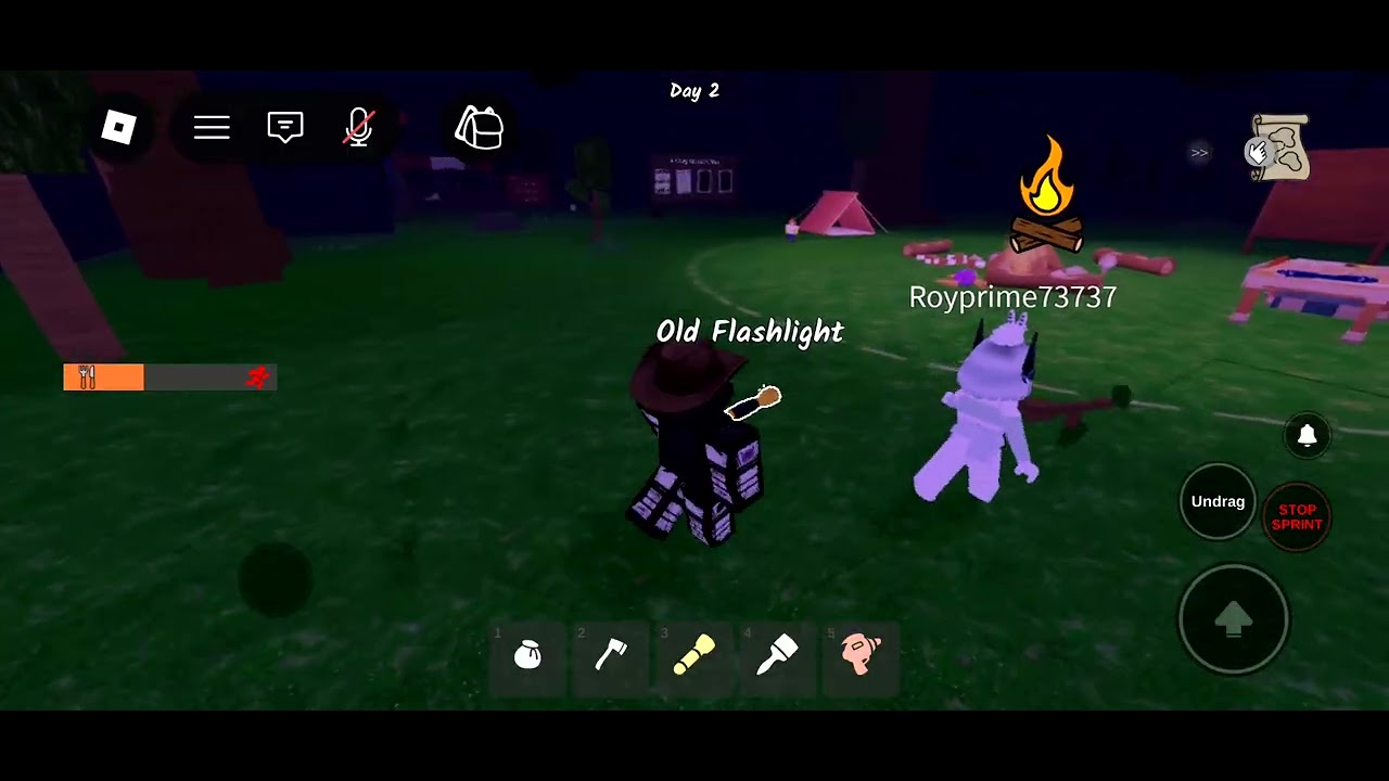 Roblox 99 my friend royprime 😊