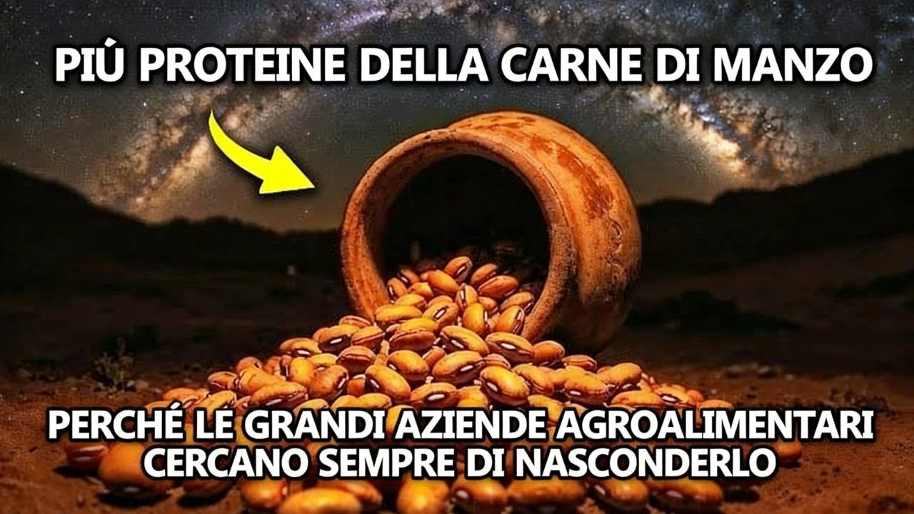 Più proteine della carne bovina, più resistente del mais: Il seme perduto della sopravvivenza