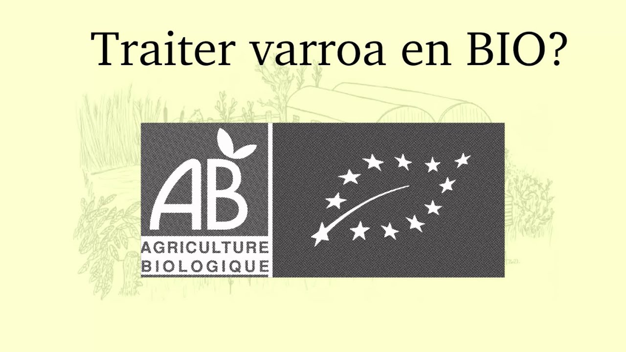 Traiter Varroa en apiculture bio? Tous les traitements avec AMM.