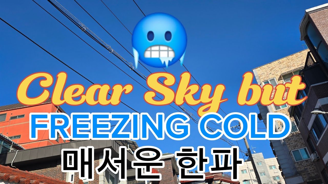 CLEAR SKY BUT FREEZING COLD 🥶  WALKING IN THE STREET GOING TO THE MART 매서운 한파 마트에서 쇼핑 