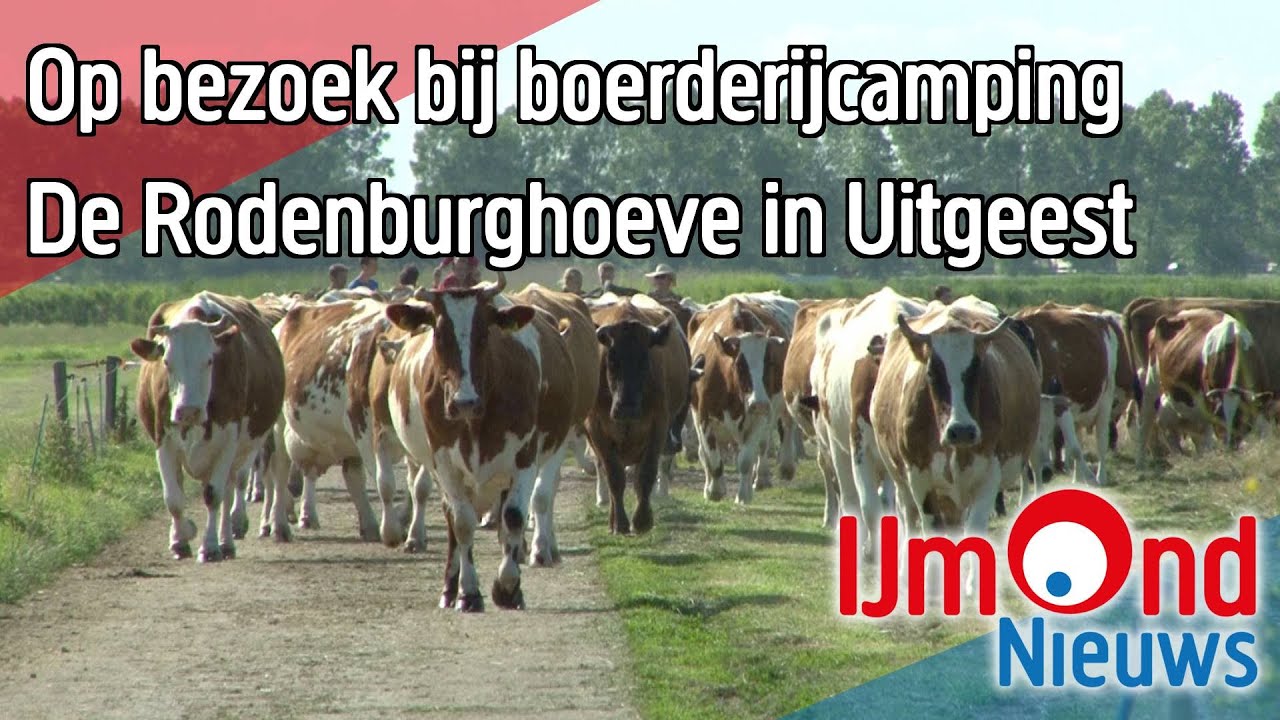 Op bezoek bij boerderijcamping De Rodenburghoeve in Uitgeest