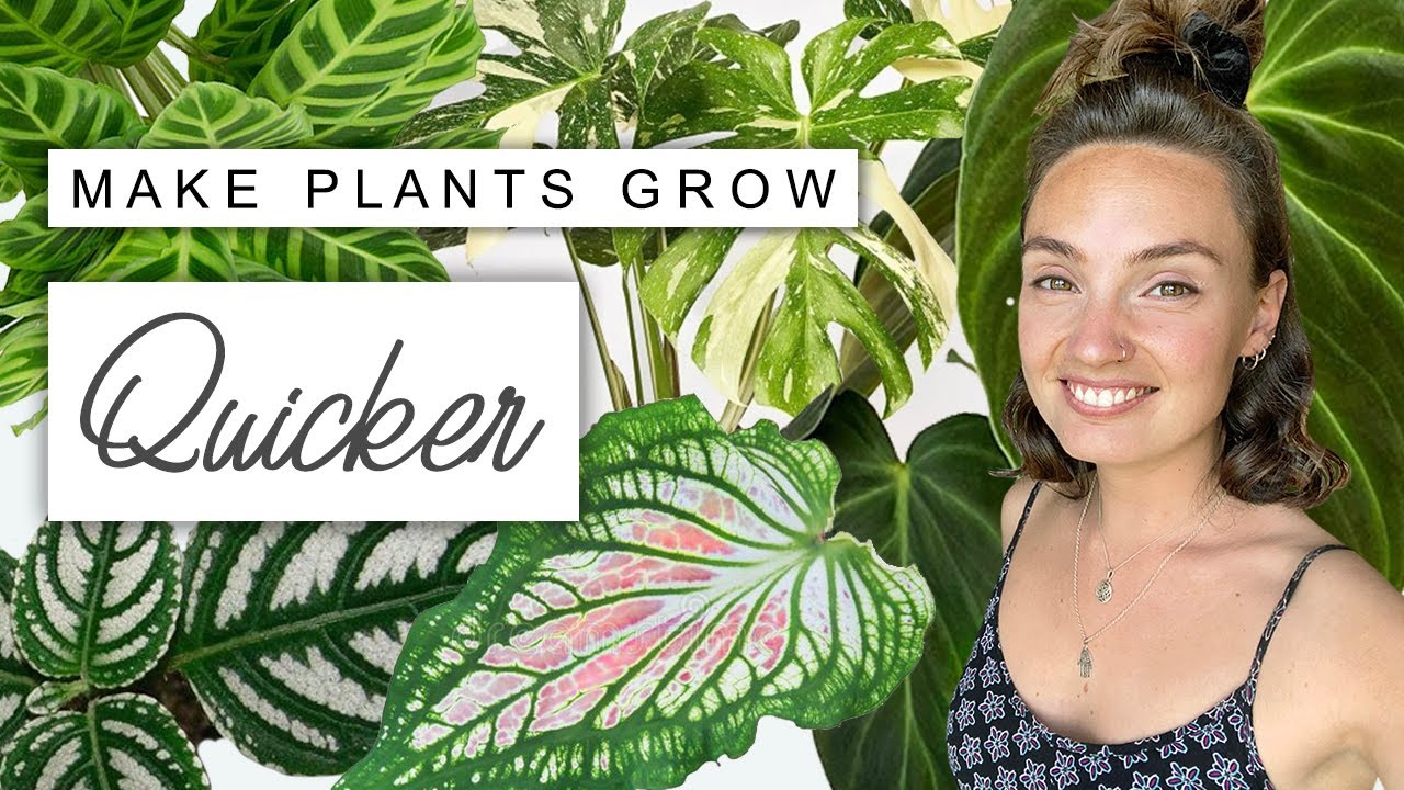 The Reason My Plants Grow So Fast 🌿 Secrets To Faster Plant Growth