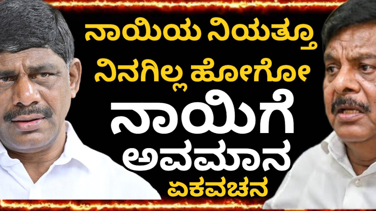 ನಾಯಿಗಿರೋ ನಿಯತ್ತೂ ನಿನಗಿಲ್ಲವಲ್ಲ ಹೋಗೋ | ಬೊಗಳೋ ನಾಯಿ ಕಚ್ಚಲ್ಲ, ಸರ್ಕಾರಕ್ಕೇನೂ ಆಗಲ್ಲ #dksuresh #dkshivakumar 