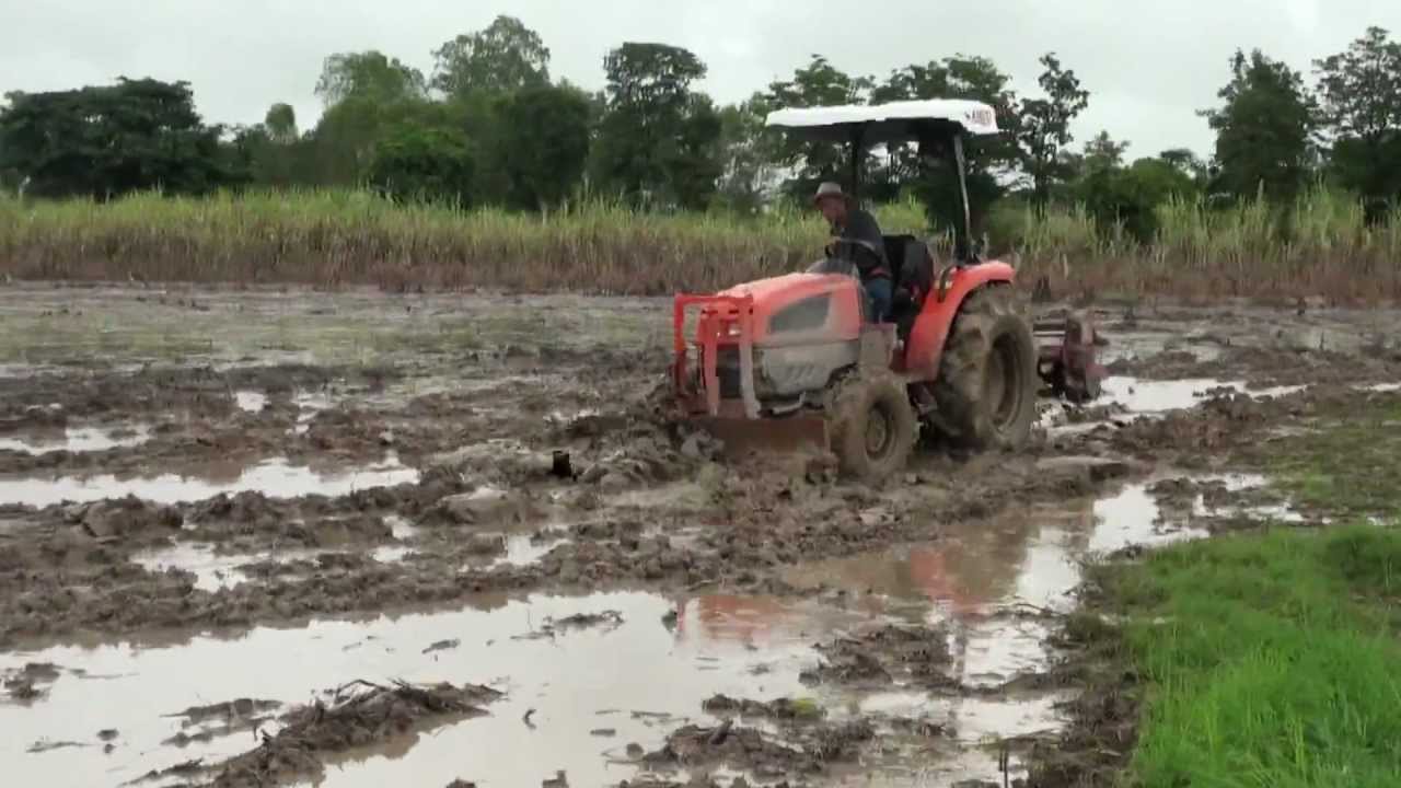 Tractor Kioti EX 50
