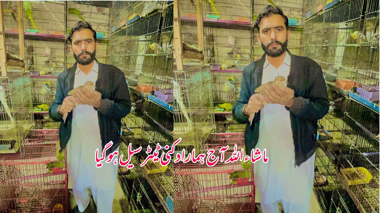 Aaj hamara dikhani teeter sail ho Gaya 💙💙💙💙💙