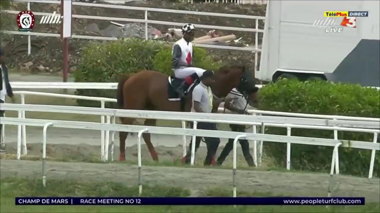 Hippisme - 12&egrave;me journ&eacute;e - La 1&egrave;re course en direct