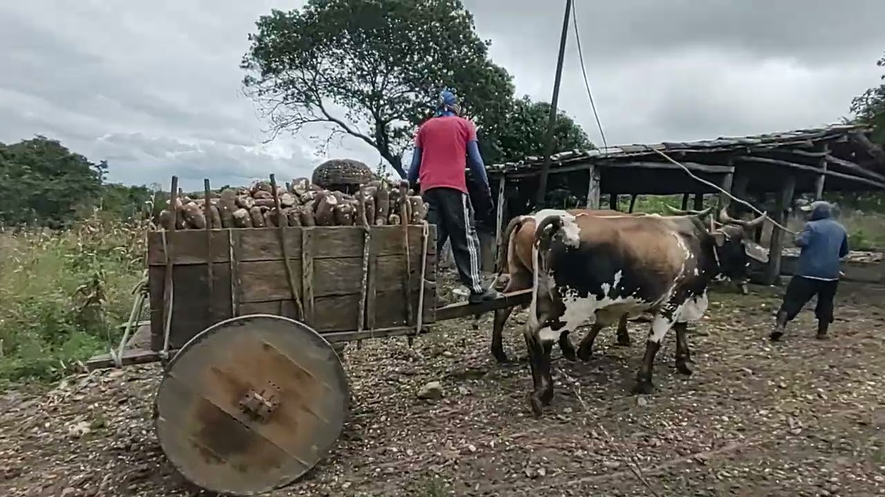 6 de outubro de 2025