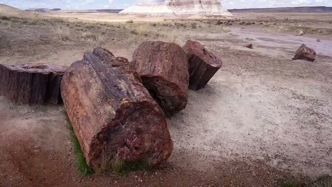 12 Most Incredible And Mysterious Finds That Really Exist