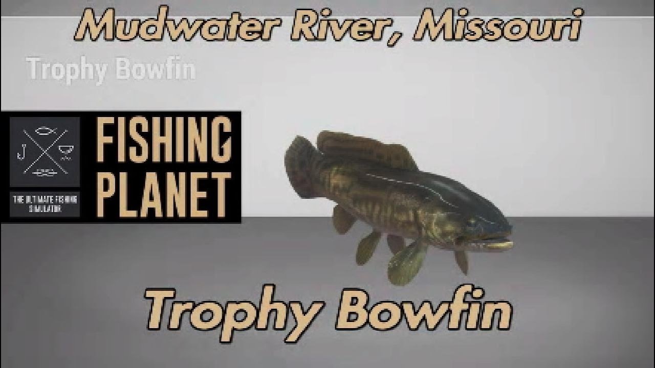 Trophy Bowfin Mudwater River Missouri Fishing Planet Guide