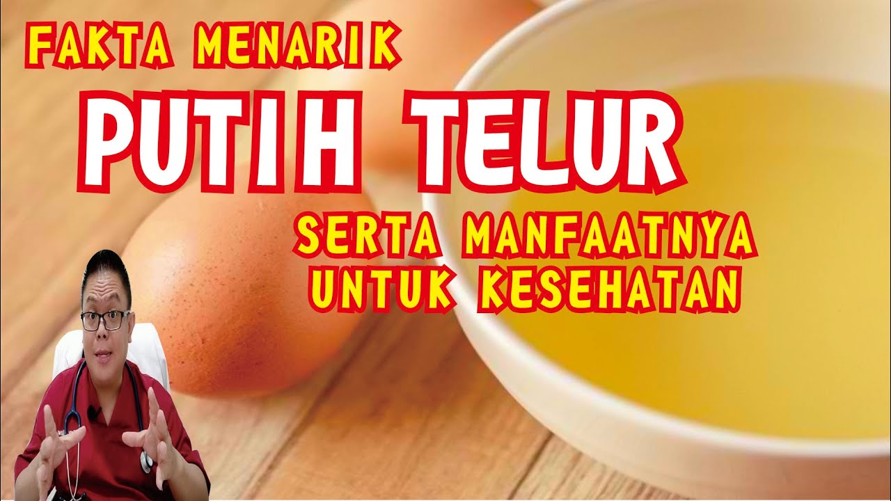 PUTIH TELUR : SUMBER PROTEIN BERKUALITAS TINGGI UNTUK KESEHATAN OPTIMAL