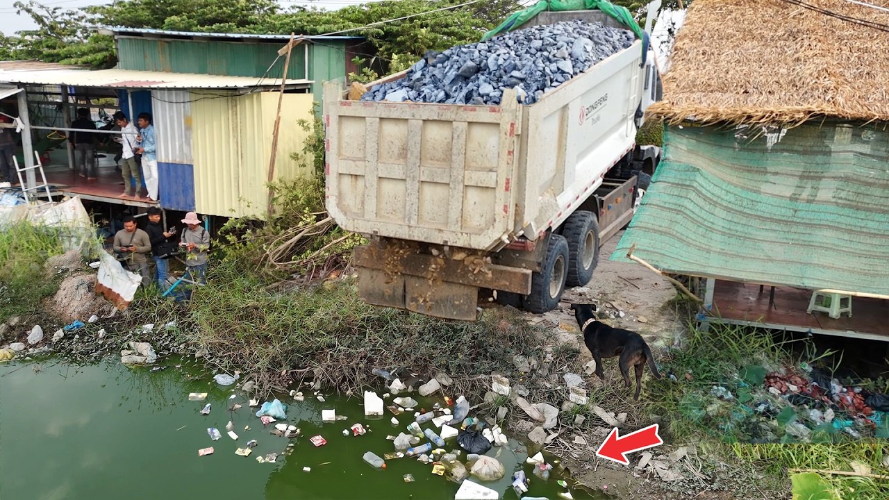 OMG Impressive JOB! Talented TeamWork Bulldozer with Dump Trucks Drop rocks filling flooded Zone