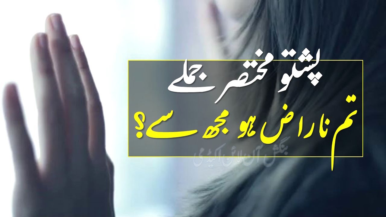 243 - Pashto Common Phrases | Basic Pashto Sentences | Best Way To Learn Pashto Language | PASHTO