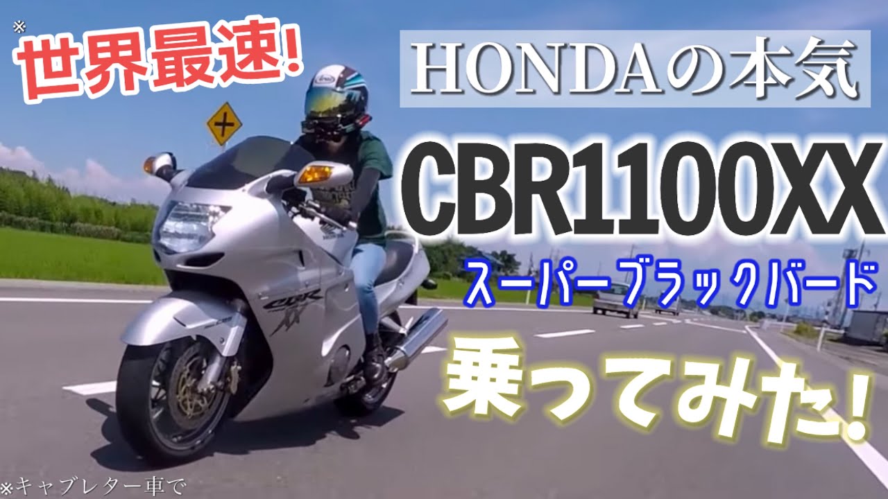 【世界最速】ロマンの塊ブラックバード🦅激速なCBR1100XXに乗ってみた！
