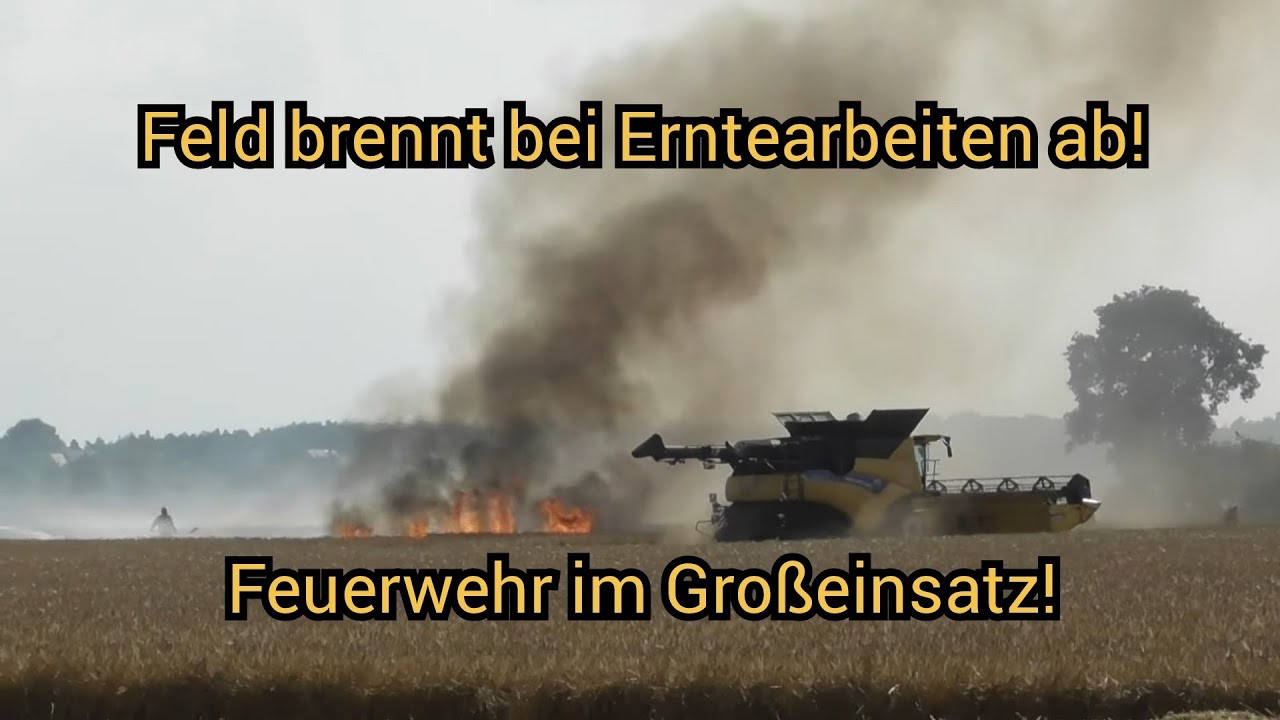 🔥 Feld brennt bei Erntearbeiten nähe Selbitz - Großeinsatz Feuerwehren LK Wittenberg am 26.06.2024