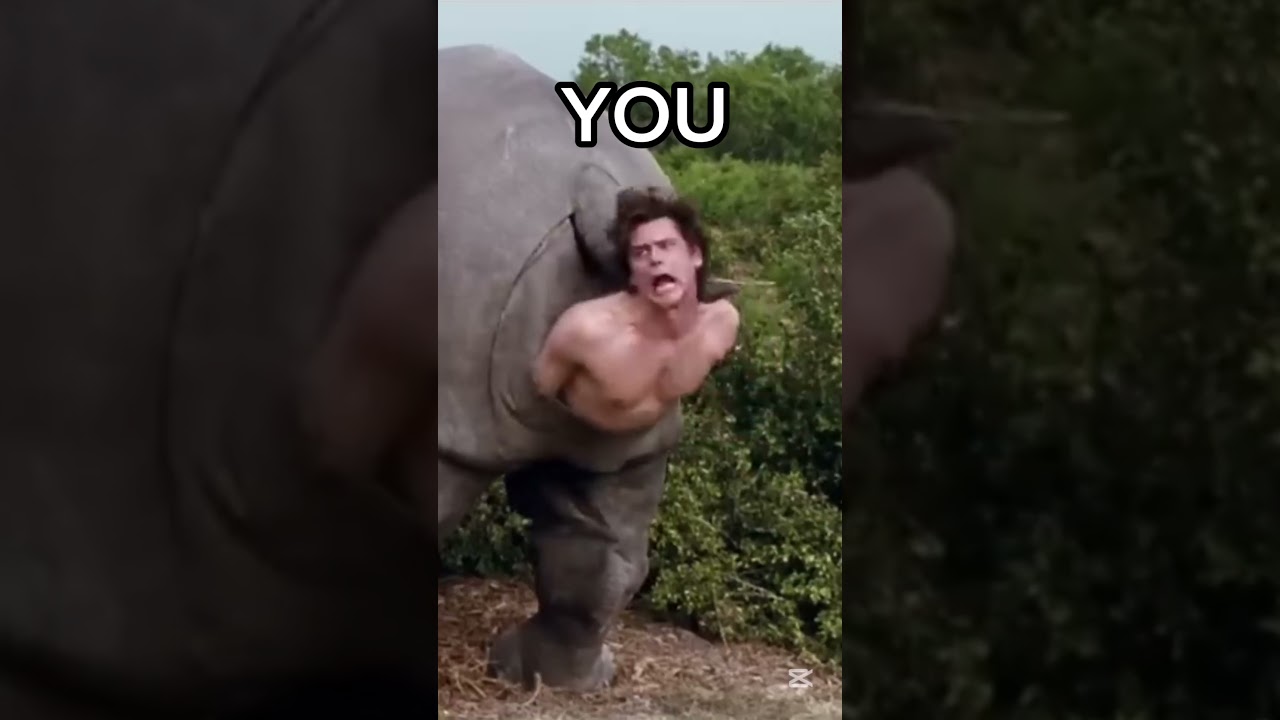 When Nature Calls&hellip; Through a Rhino