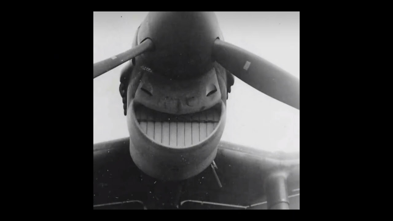 WAKE UP! (Slowed reverb) German solider voice x Plane