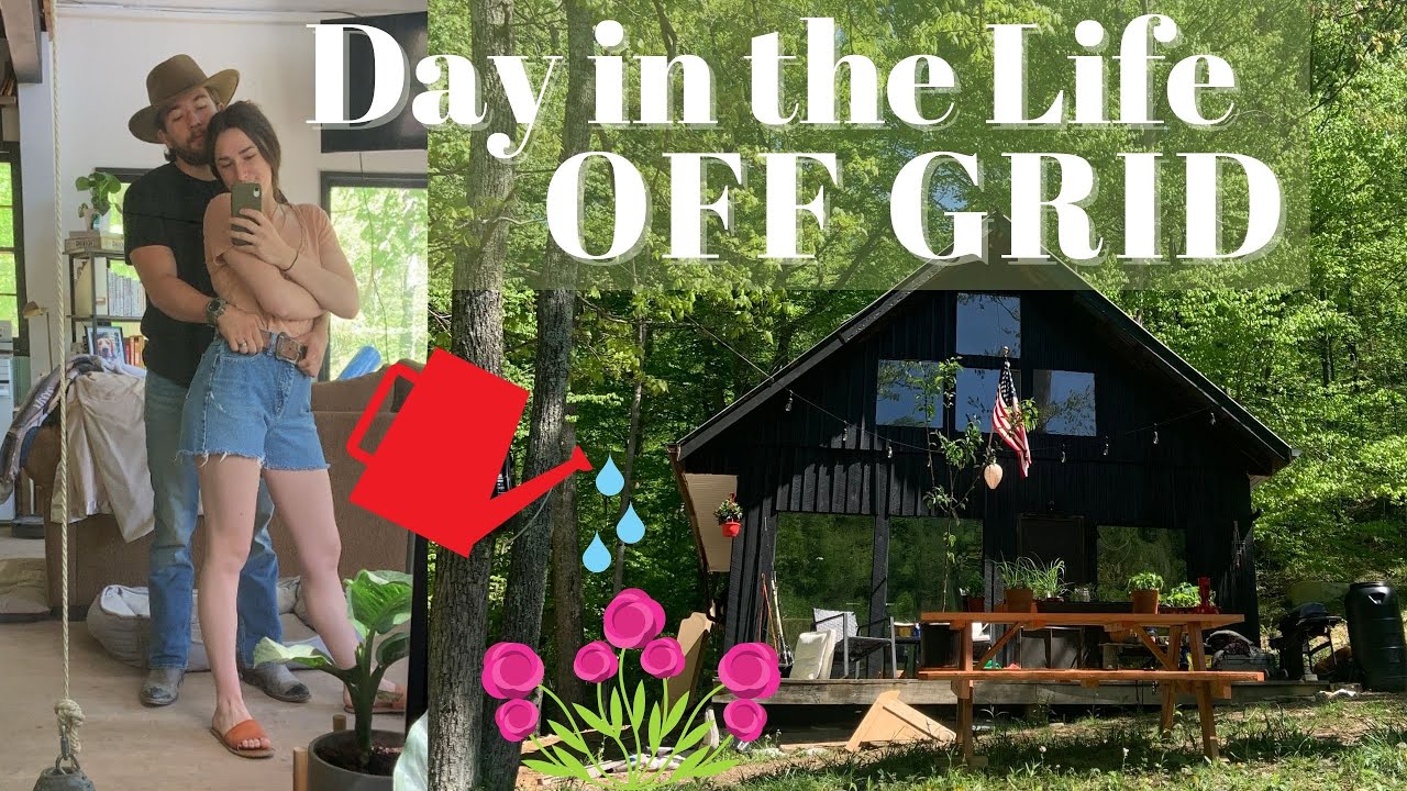 Day in the Life Off Grid | Adding Landscaping to our Off Gird Cabin!