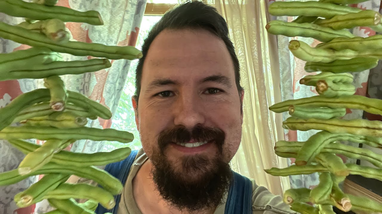 Drying Beans In Appalachia v244