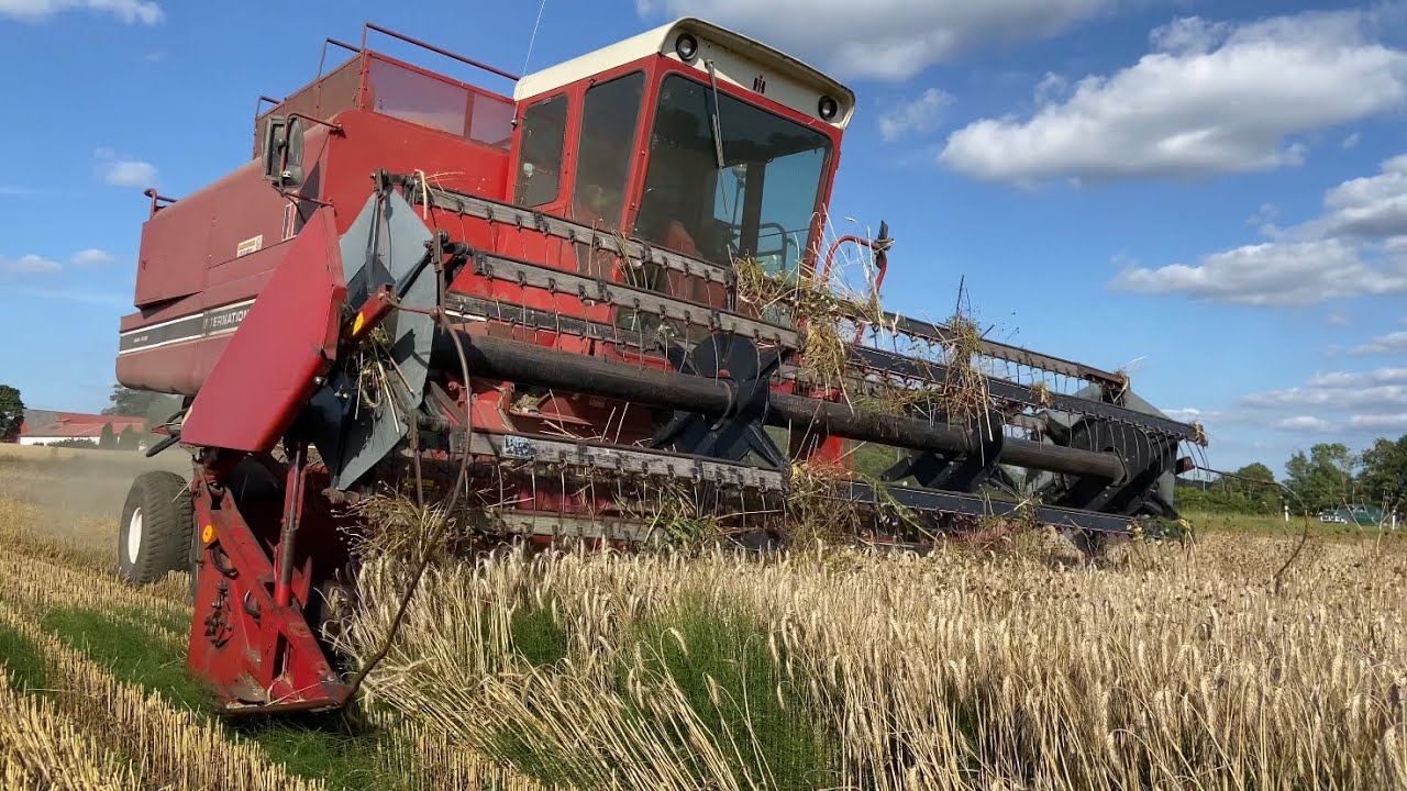 International 1460 Axial-Flow (4K)