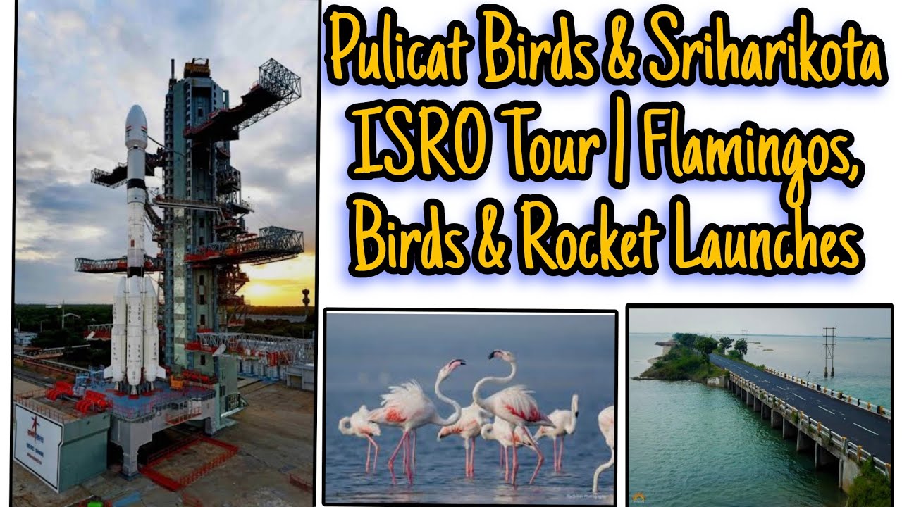 Pulicat Birds & Sriharikota ISRO Tour | Flamingos, Migratory Birds & Rocket Launches #andhrapradesh 