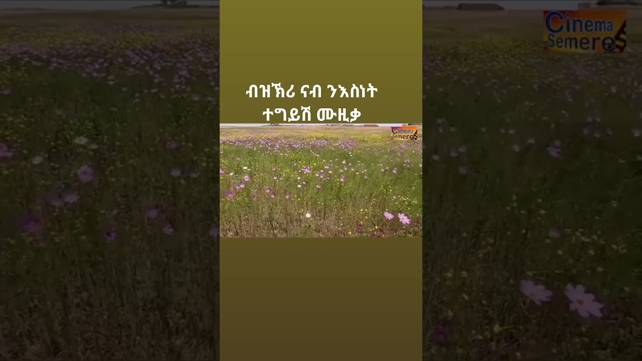 ዝኽሪ ንእስነት ካብ ኤሪ ቲቪ Old eritrean Eri tv instrumental music