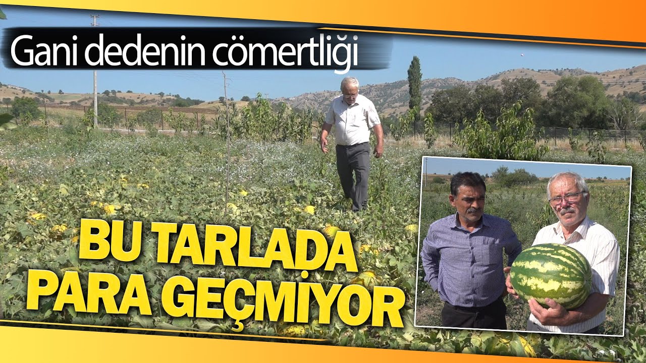 Yetiştirdiği Meyve ve Sebzeleri Herkese Ücretiz Dağıtıyor