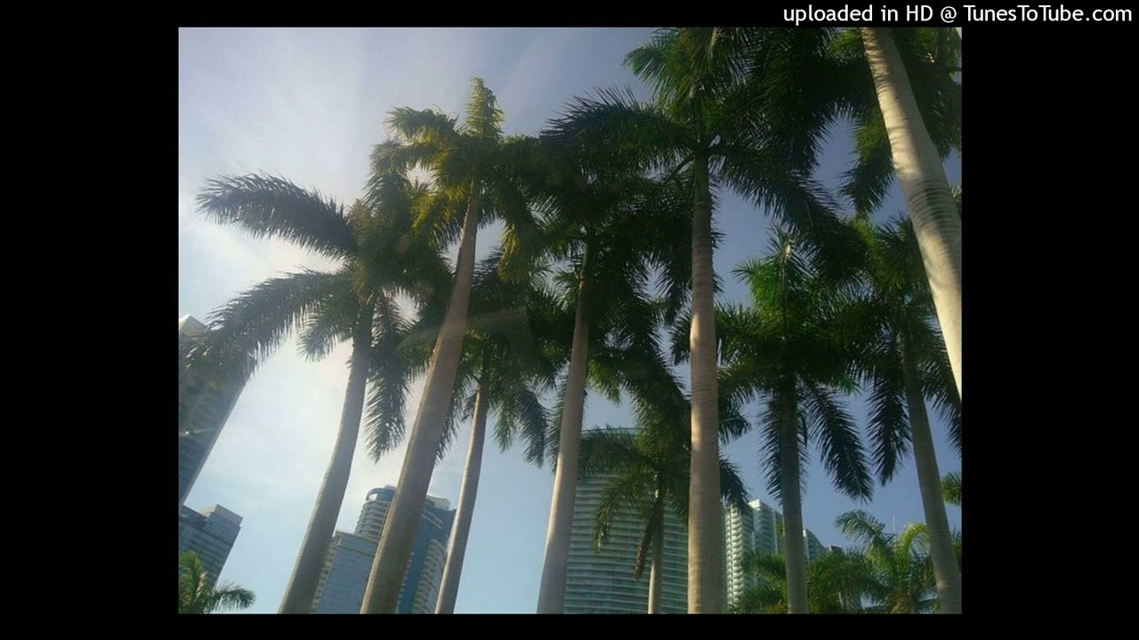 pierrebourne tdf rqsy type beat