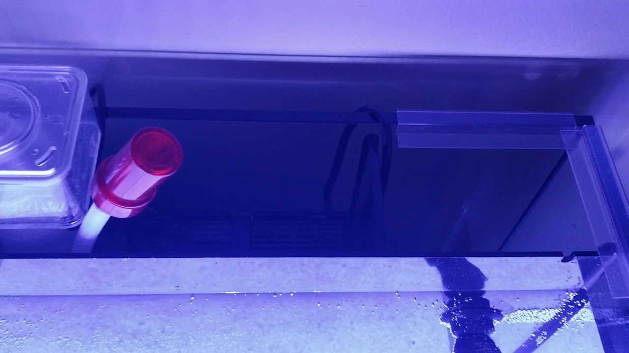 Aquatop 24g - Week 1 (day 1)    The Aquatop 24 gallon Nano Reef Tank Breakdown