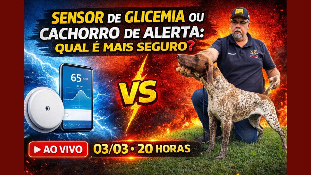 SENSOR DE GLICEMIA OU CACHORRO DE ALERTA MÉDICO, QUAL É MAIS SEGURO?