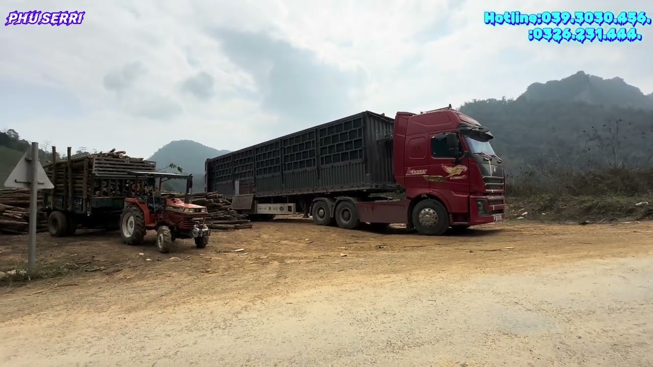 Cũng l&agrave; đầu k&eacute;o đ&acirc;y lạ lắm Phu Serri