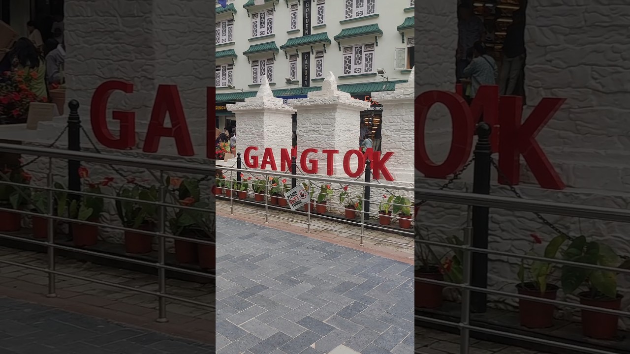 M.G market || Gangtok || #shorts #gangtok #live #mgmarket
