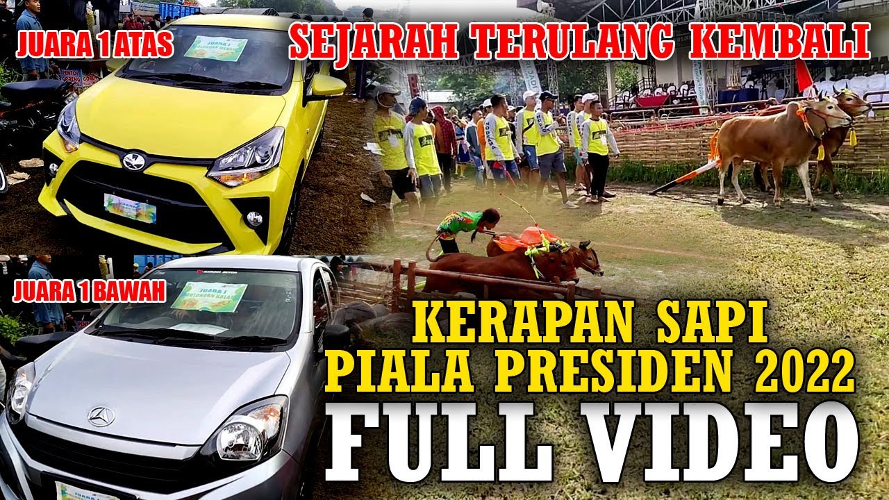 Grand Final Kerapan Sapi Piala Presiden 2022 Full Video