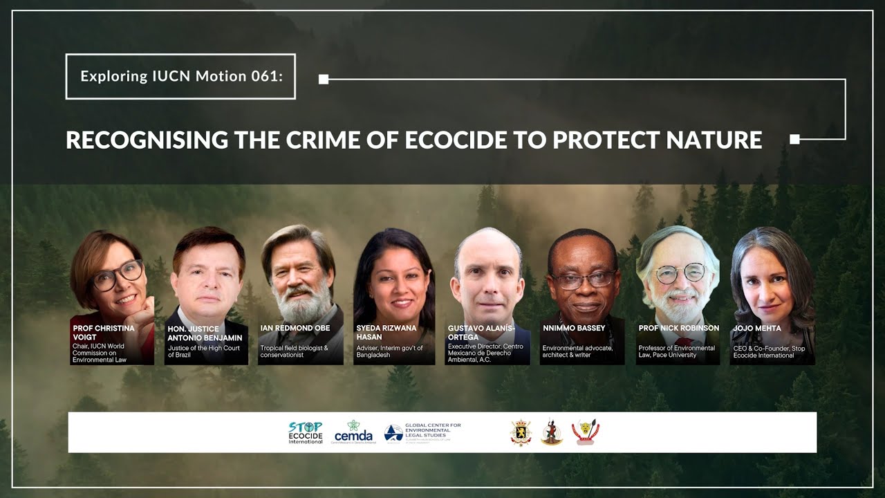 Recognising the Crime of Ecocide to Protect Nature -- Exploring IUCN Motion 061