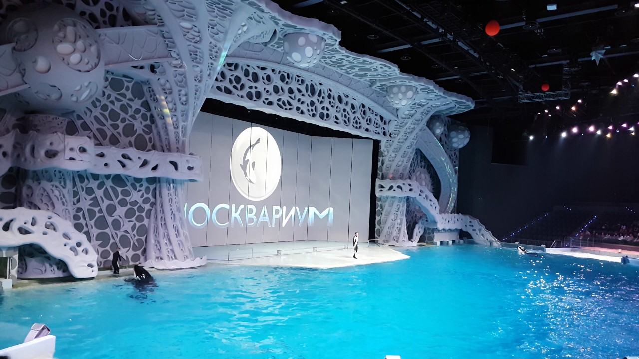 Orka Moskvarium