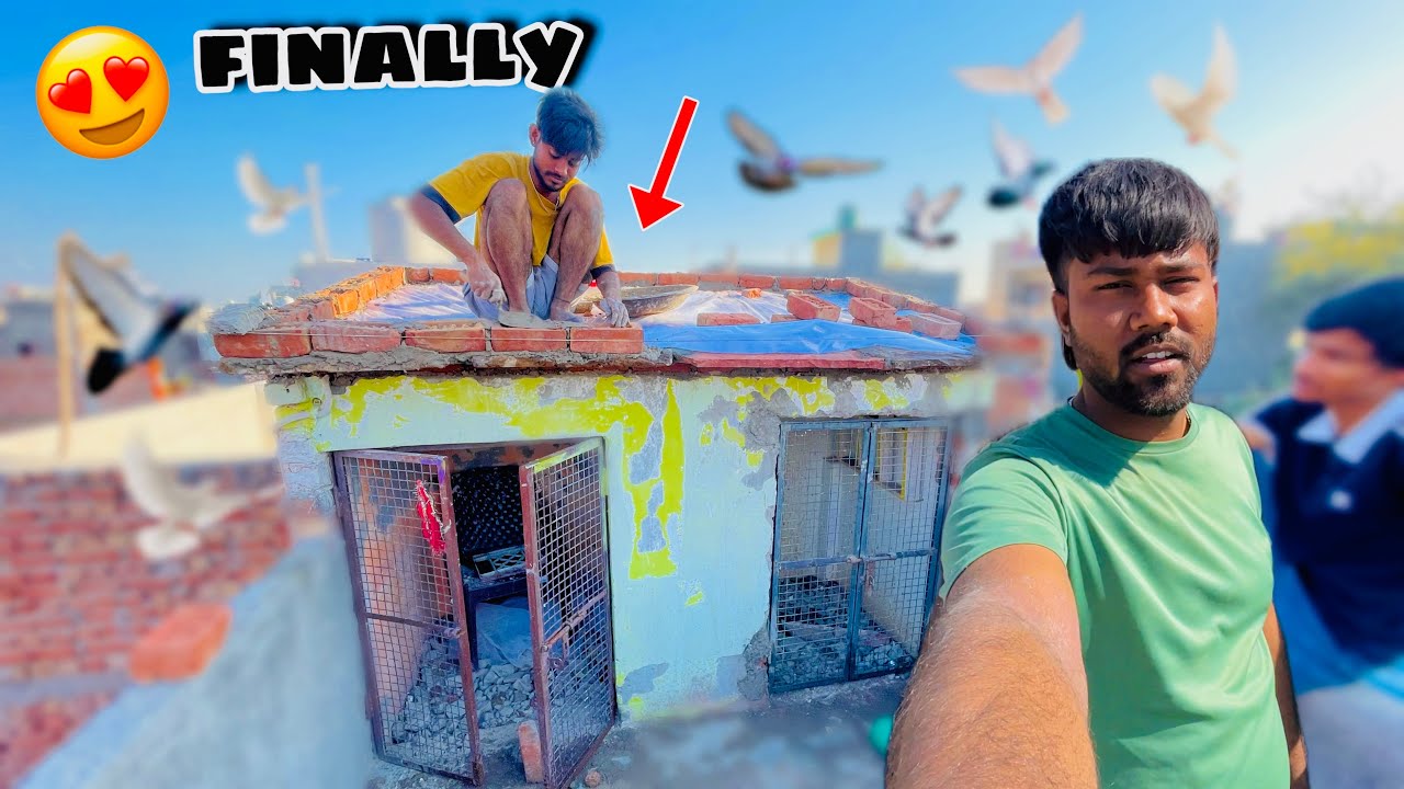 Finally Aaj Chhat (छत) Ban Gayi 😍 | कबूतरों का नया घर 🏠