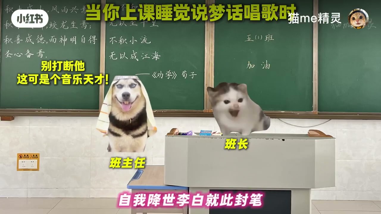 當你在上課睡覺時說夢話：）#我要上热搜 #搬運#喵meme