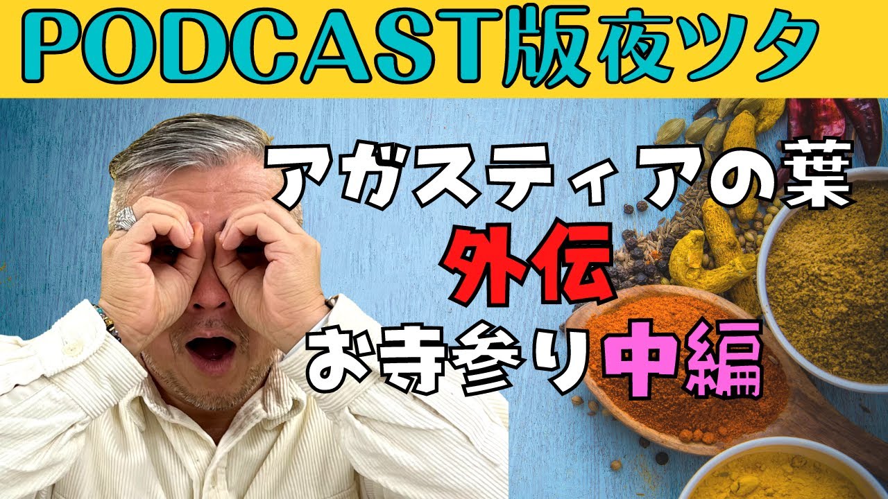 【第74話】アガスティアの葉外伝　お寺参り中編